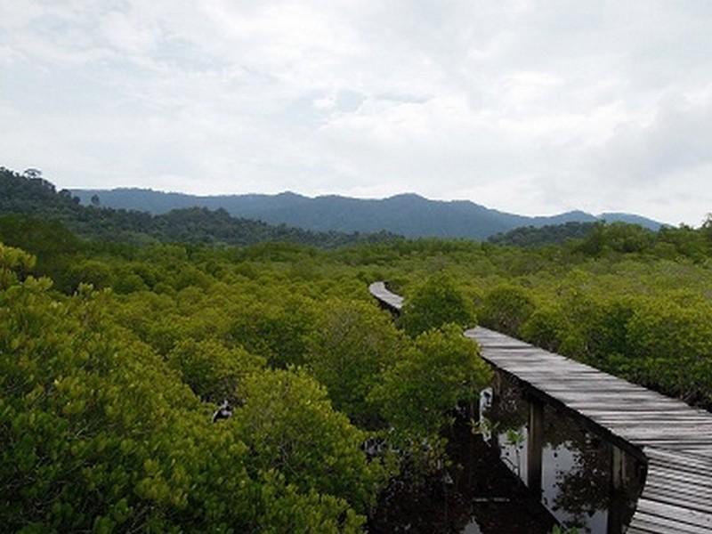 The Mangrove Hideaway Kohchang Koh Chang Eksteriør billede